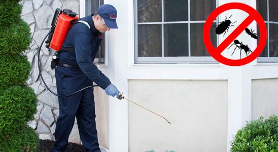 Bostanlı Bit İlaçlama böcek ilaçlama ve haşere kontrolü — ilaclama-tr.com